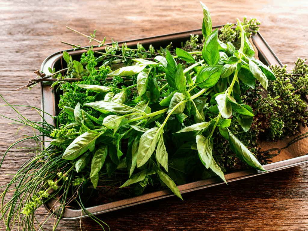 Würzalternativen – so kochst du aromatisch ohne Salz