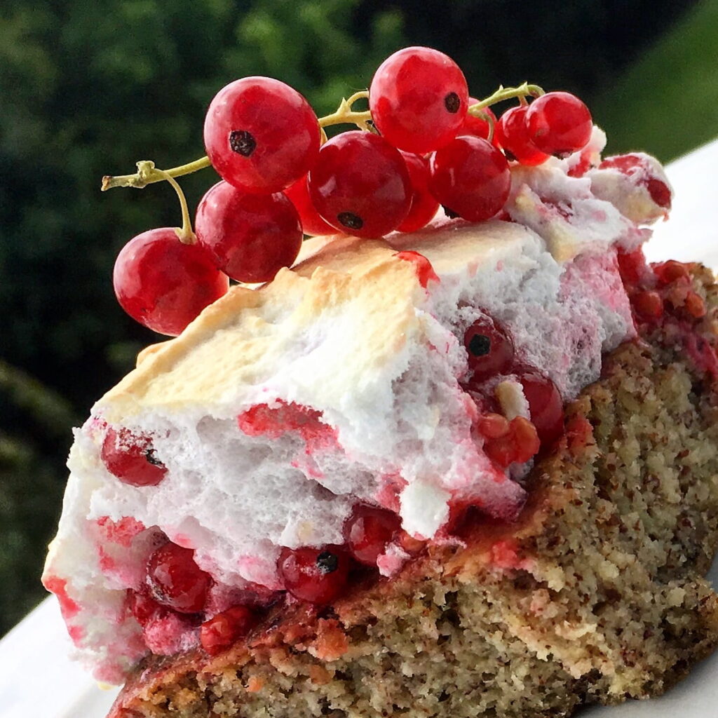 Johannisbeerkuchen mit Baiser - grüner Tag Stabilisierungsphase