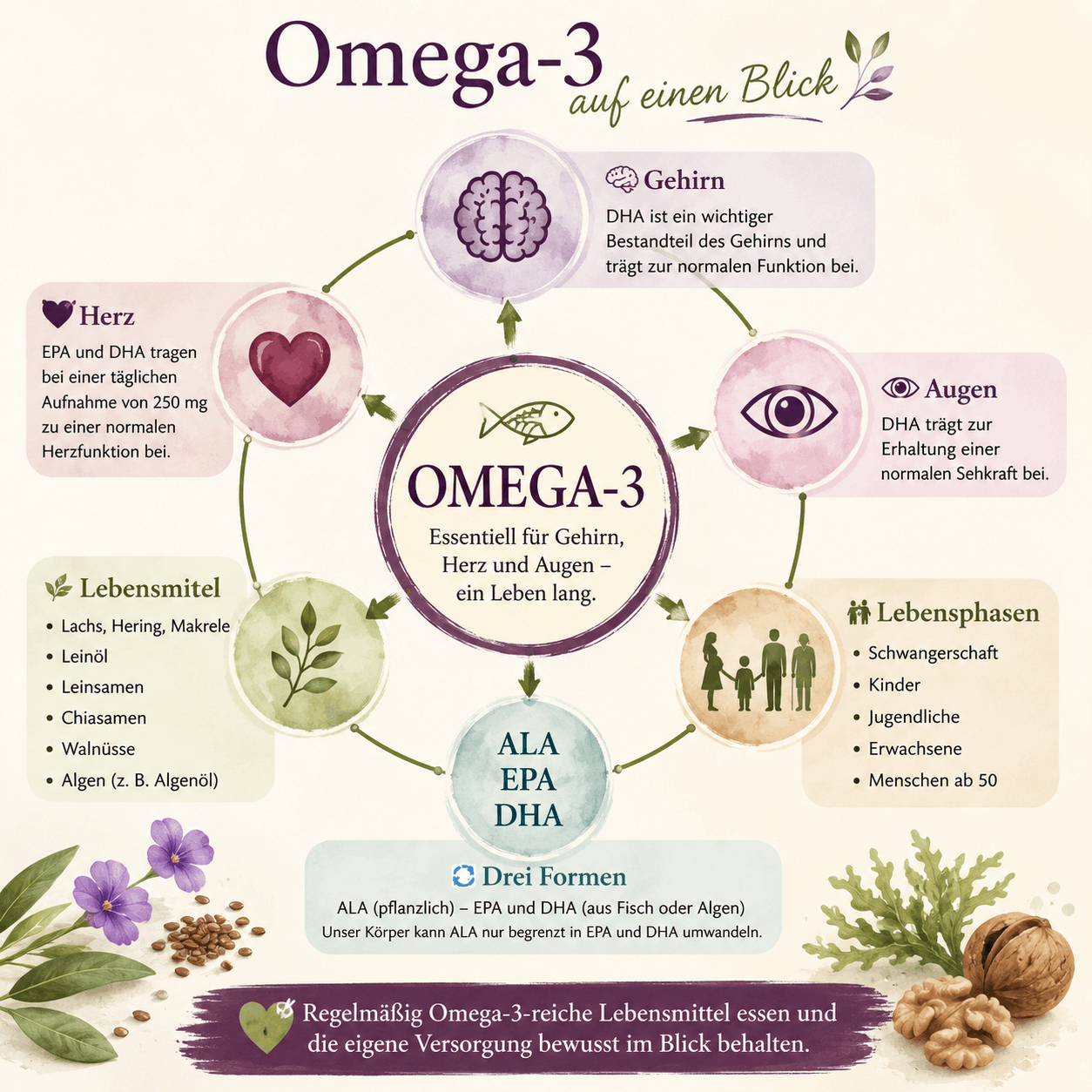 Omega-3 verstehen